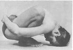 240pxMalasana-I-Yoga-Pose-BKS-Iyengar