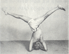 parivrttaikapada_sirsasana-240