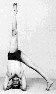 parsvaikapada-sirsasana-iyengar240